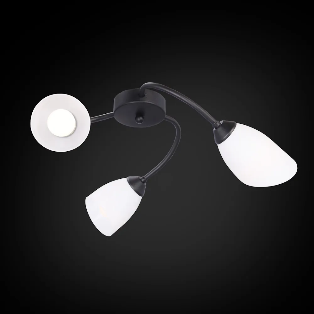 Изображение 1 Люстра RS218/3B