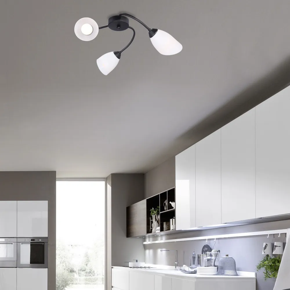 Изображение 2 Люстра RS218/3B