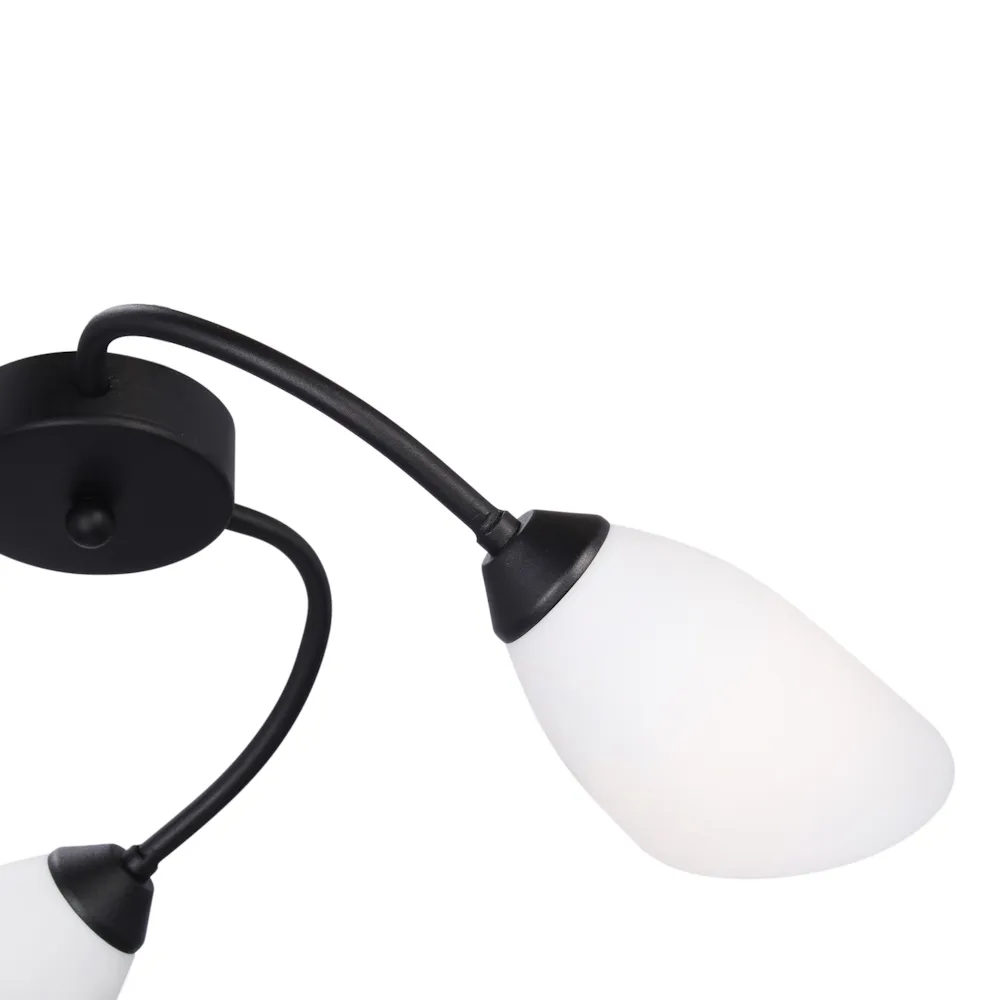 Изображение 3 Люстра RS218/3B