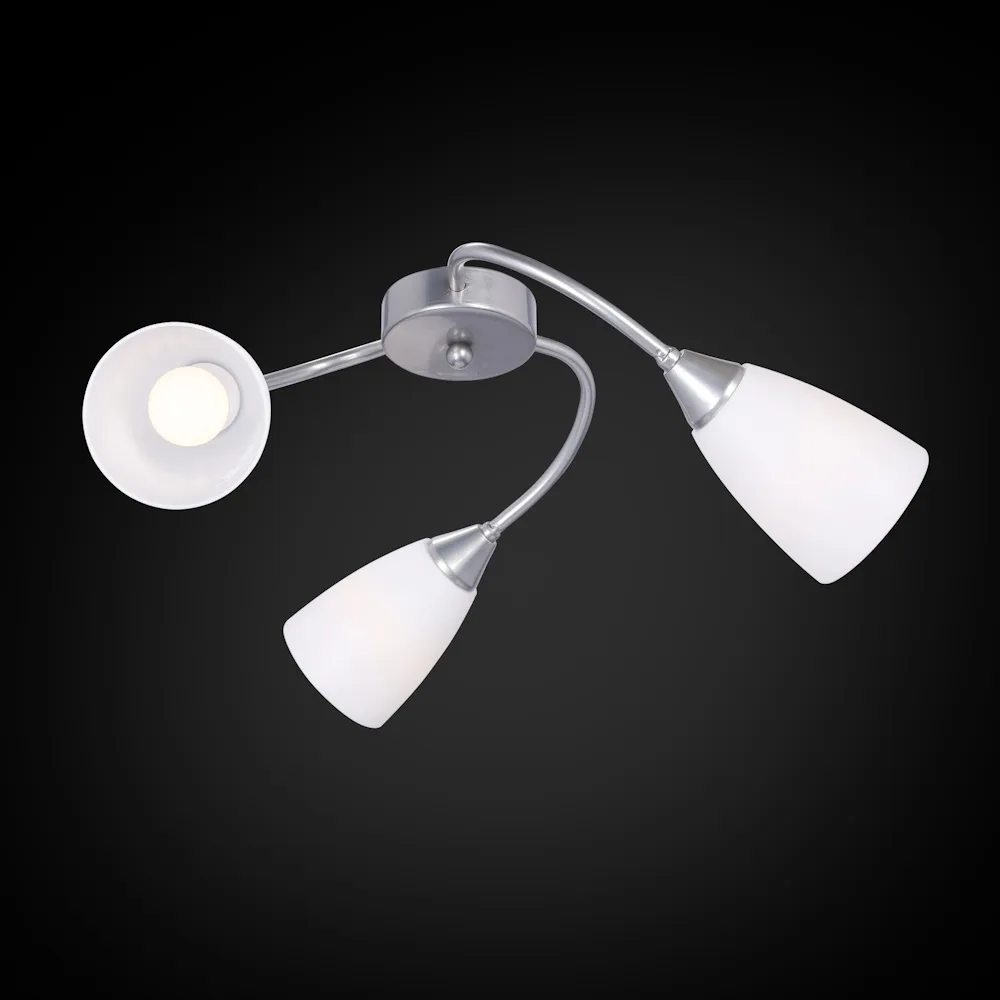 Изображение 1 Люстра RS218/3S "Белава"