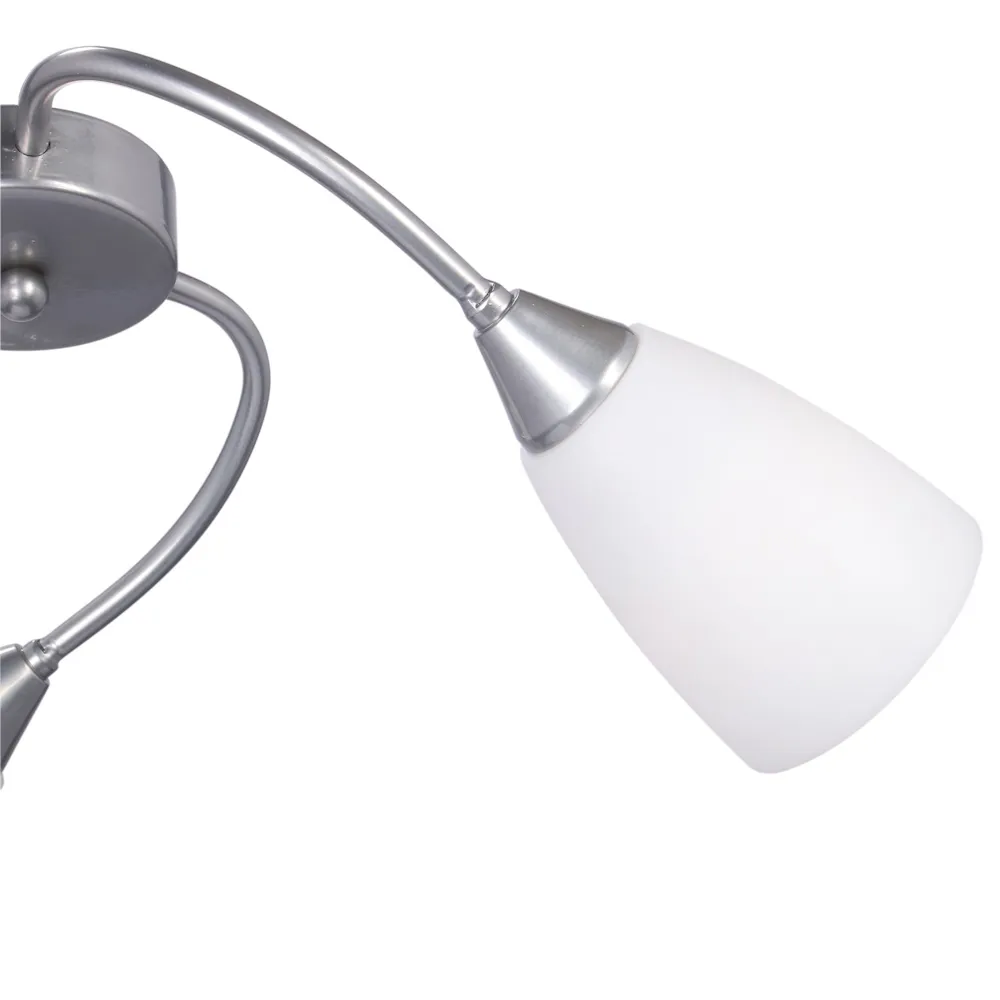 Изображение 3 Люстра RS218/3S "Белава"